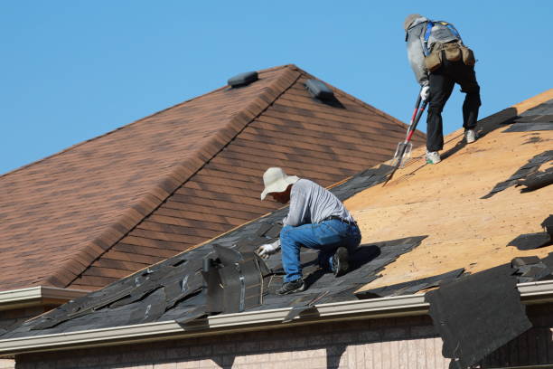 Best Steel Roofing  in Woodfin, NC