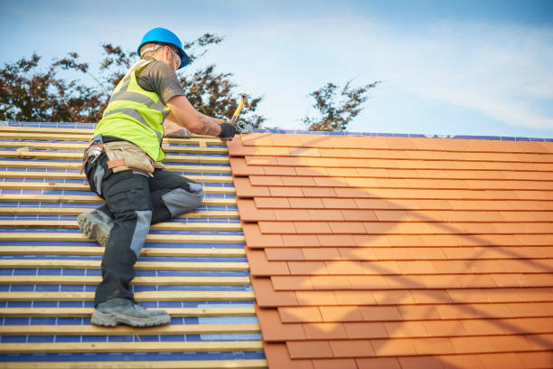 Best Roof Insulation Installation  in Woodfin, NC